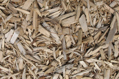 biomass boilers Little Dunmow